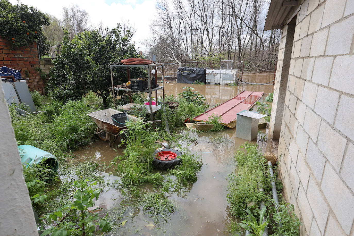 El desolador aspecto de las viviendas anegadas junto al río en Córdoba, en imágenes
