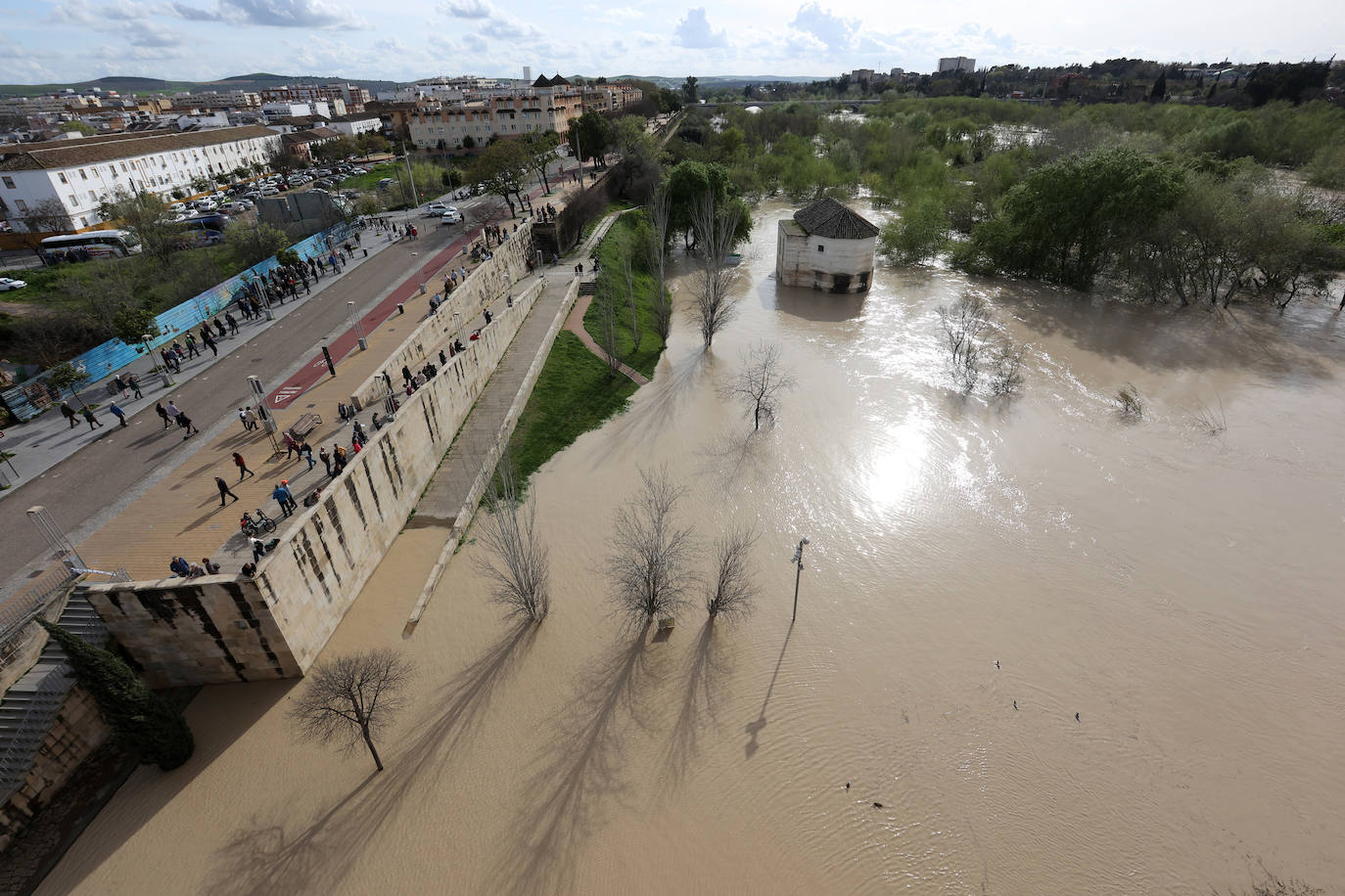 El impactante aspecto del río Guadalquivir a su paso por Córdoba