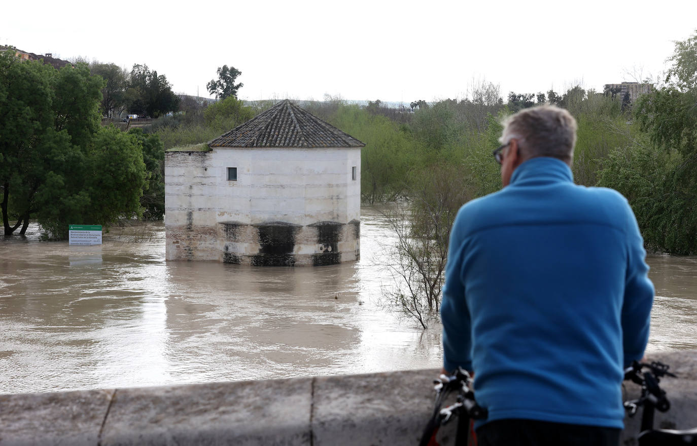 El impactante aspecto del río Guadalquivir a su paso por Córdoba