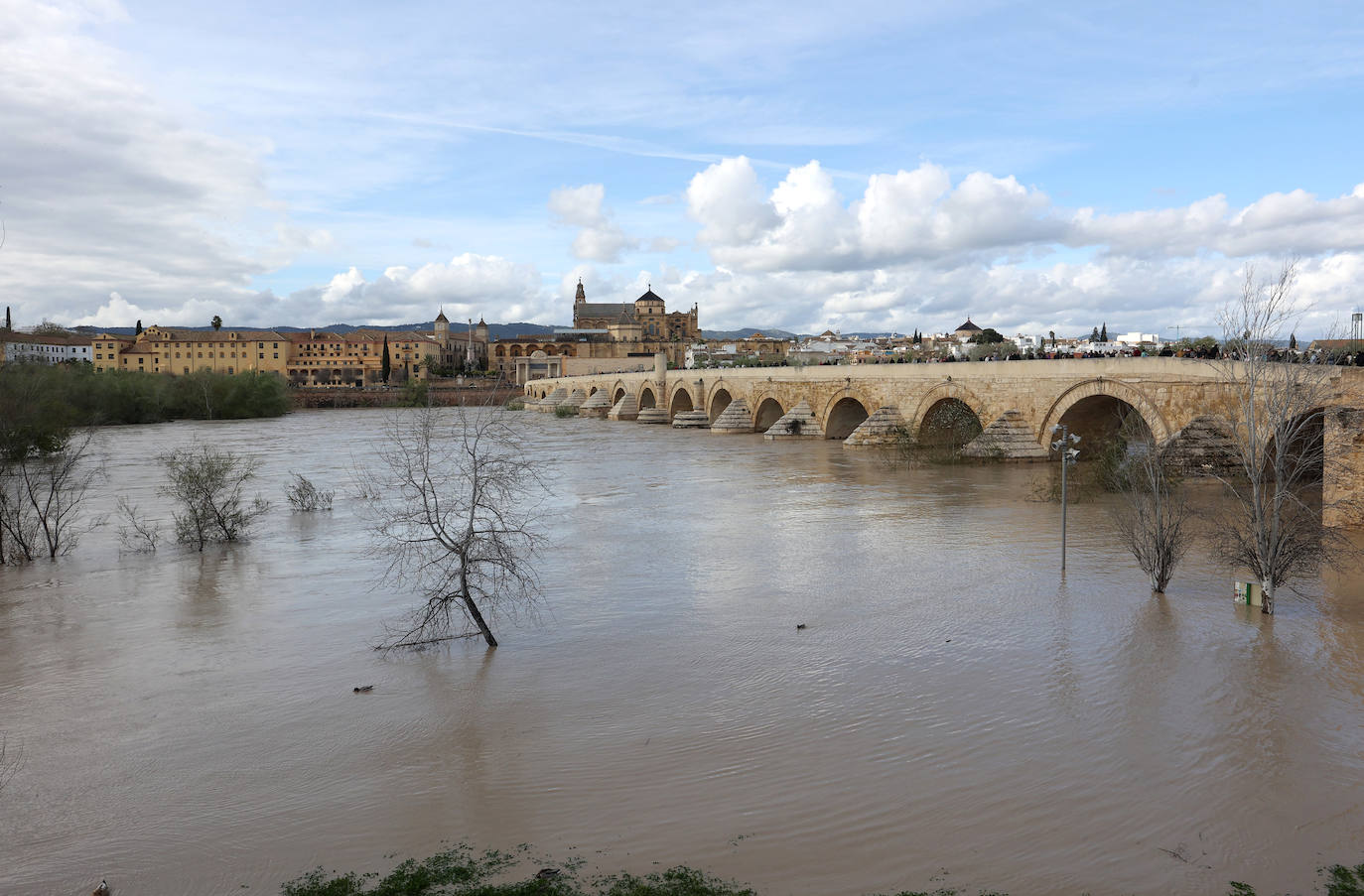 El impactante aspecto del río Guadalquivir a su paso por Córdoba