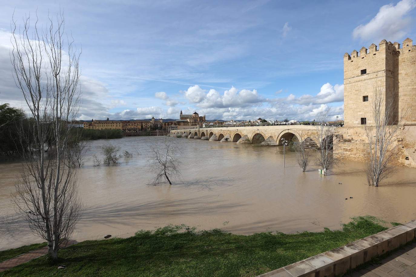 El impactante aspecto del río Guadalquivir a su paso por Córdoba