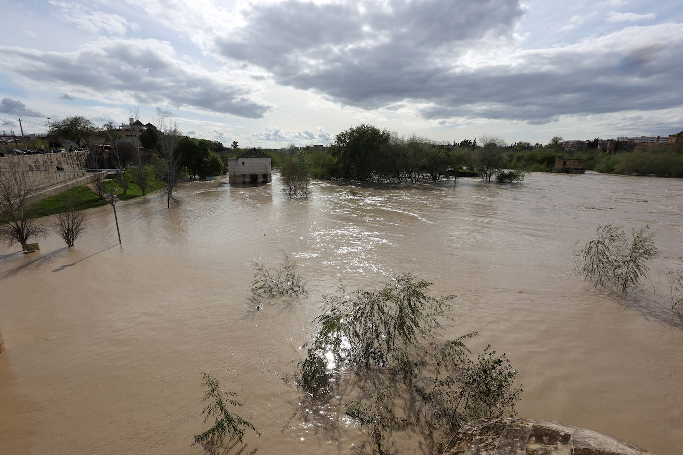 El impactante aspecto del río Guadalquivir a su paso por Córdoba