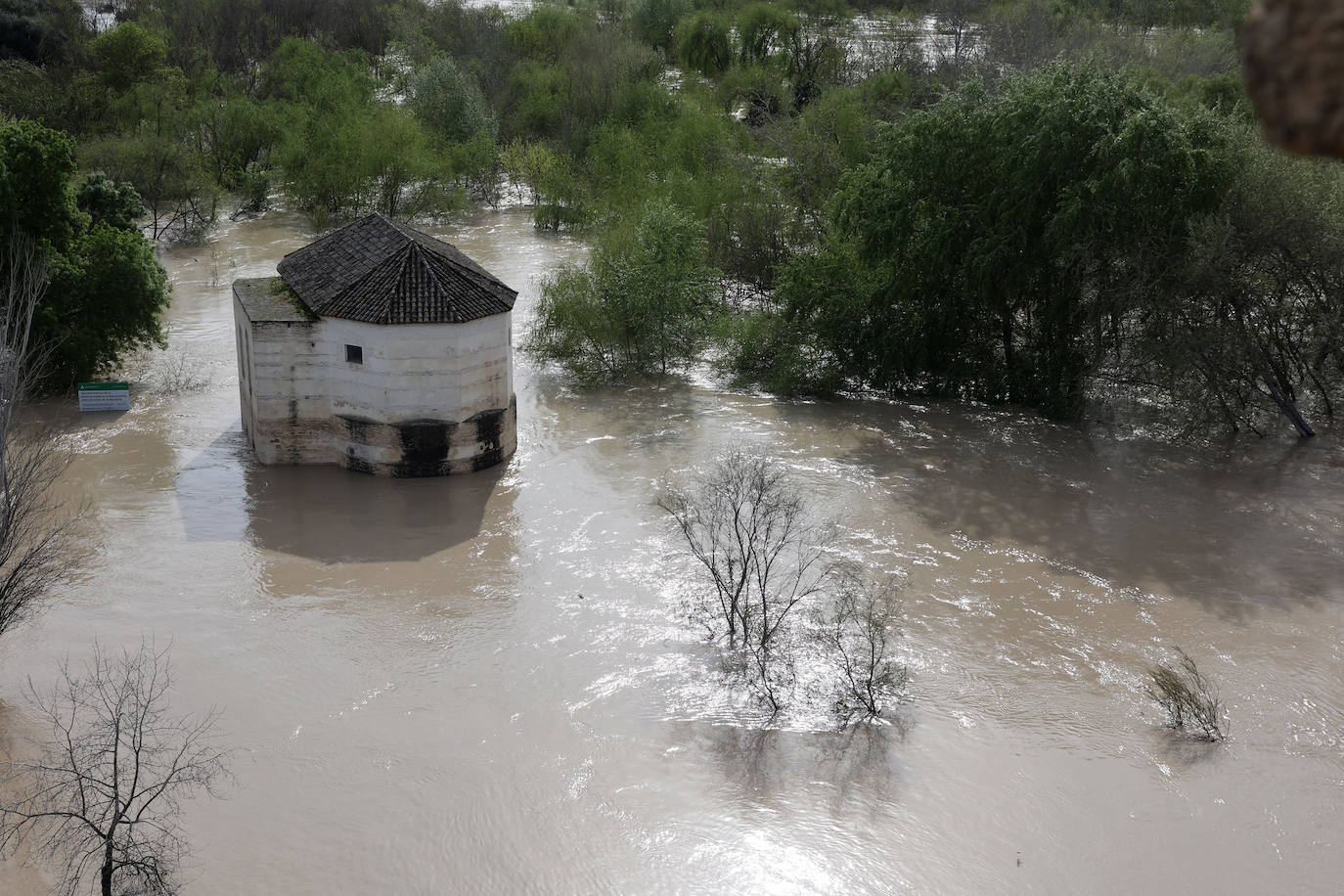 El impactante aspecto del río Guadalquivir a su paso por Córdoba