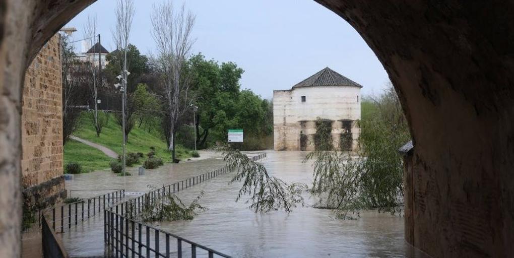 Crecida del Guadalquivir: así está el río a su paso por Córdoba y esto es lo que ha llovido