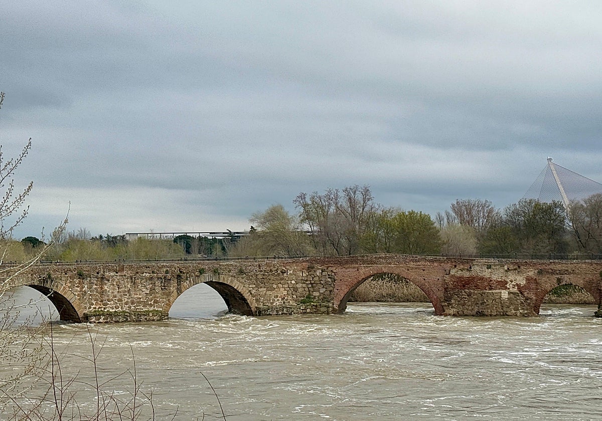 El puente romano de Talavera sigue cerrado a los peatones