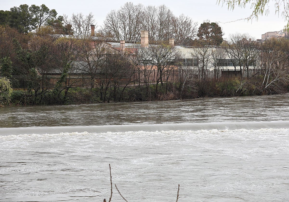 El Tajo, este martes, a su paso por Toledo