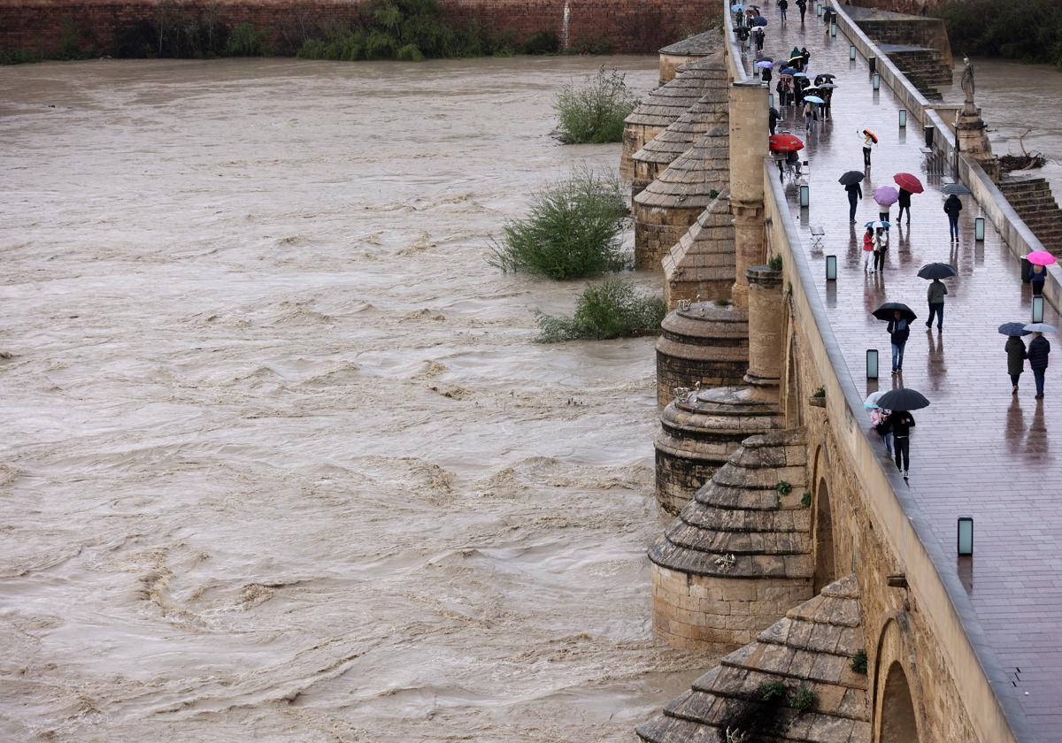 Avenida del caudal del Guadalquivir a su paso por el Puente Romano estos últimos días