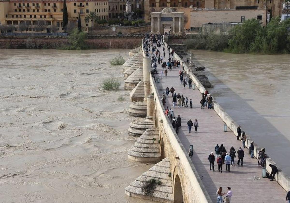 Imagen del Guadalquivir este martes, a su paso por Córdoba