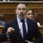 Imagen - «Ha pactado el reparto de los menas, es decir, de la inseguridad, por toda España menos por Cataluña y País Vasco»