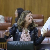 La consejera Carmen Castillo en el Parlamento