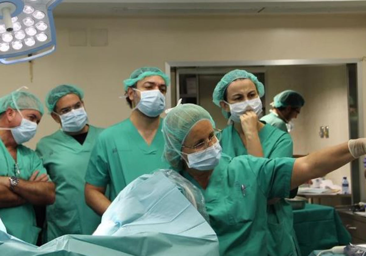 La doctora Cañete en plena masterclass