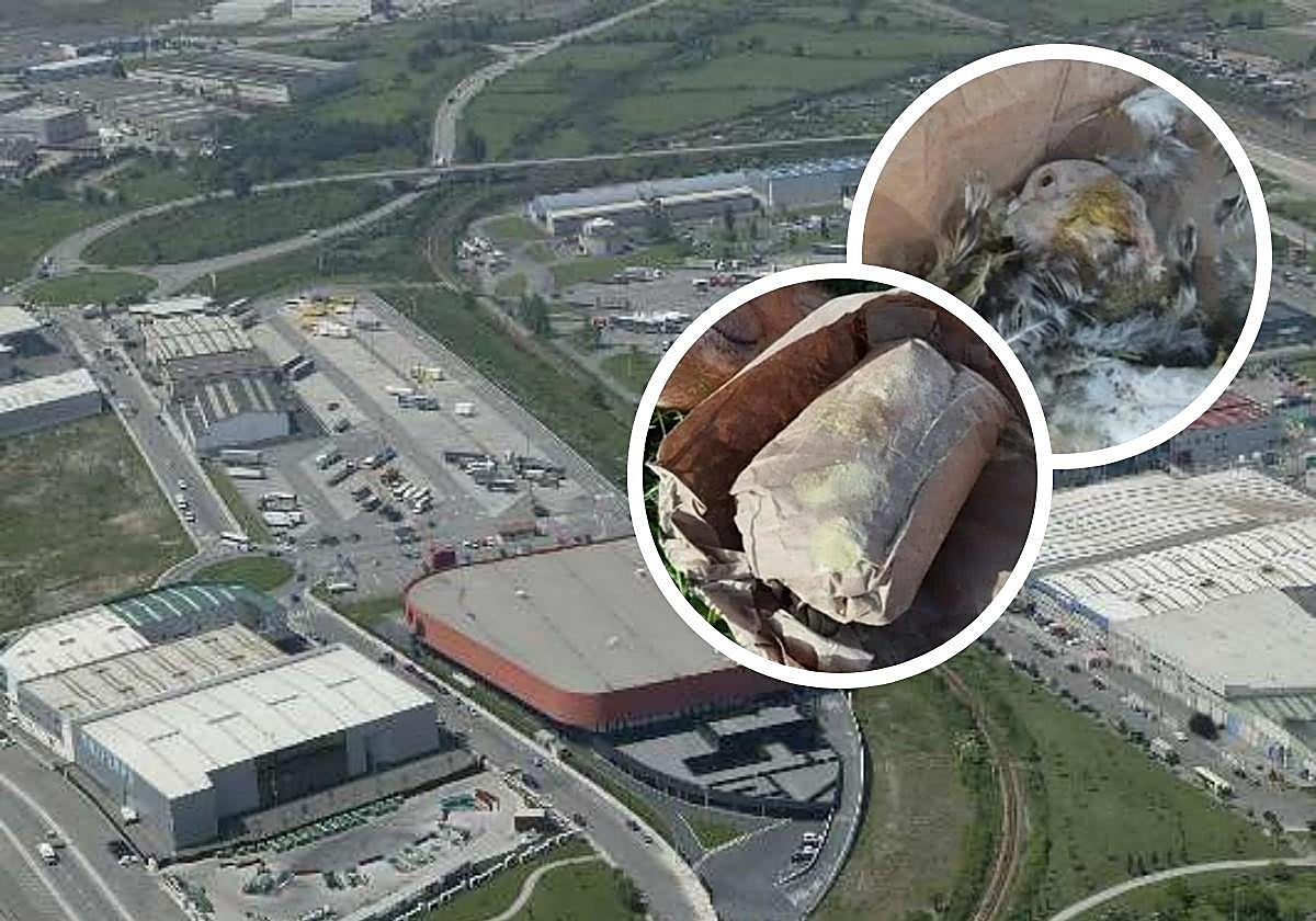 El Centro de Transportes de Tremañes, en Gijón, y algunos de los efectos encontrados