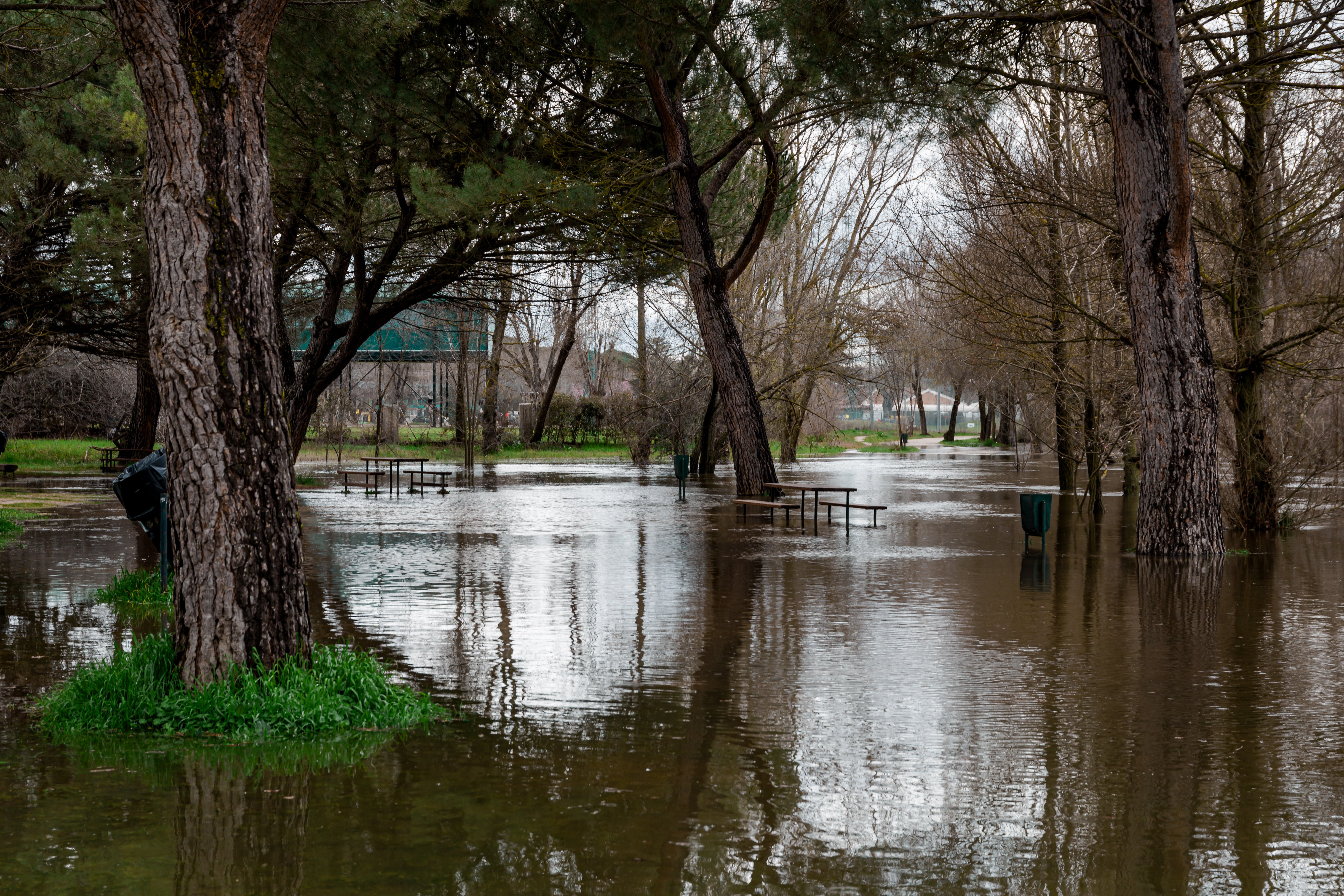 La crecida del río Manzanares en El Parking de Somontes, a la altura del Arroyo Trofa y de El Pardo, a 19 de marzo de 2025, en Madrid