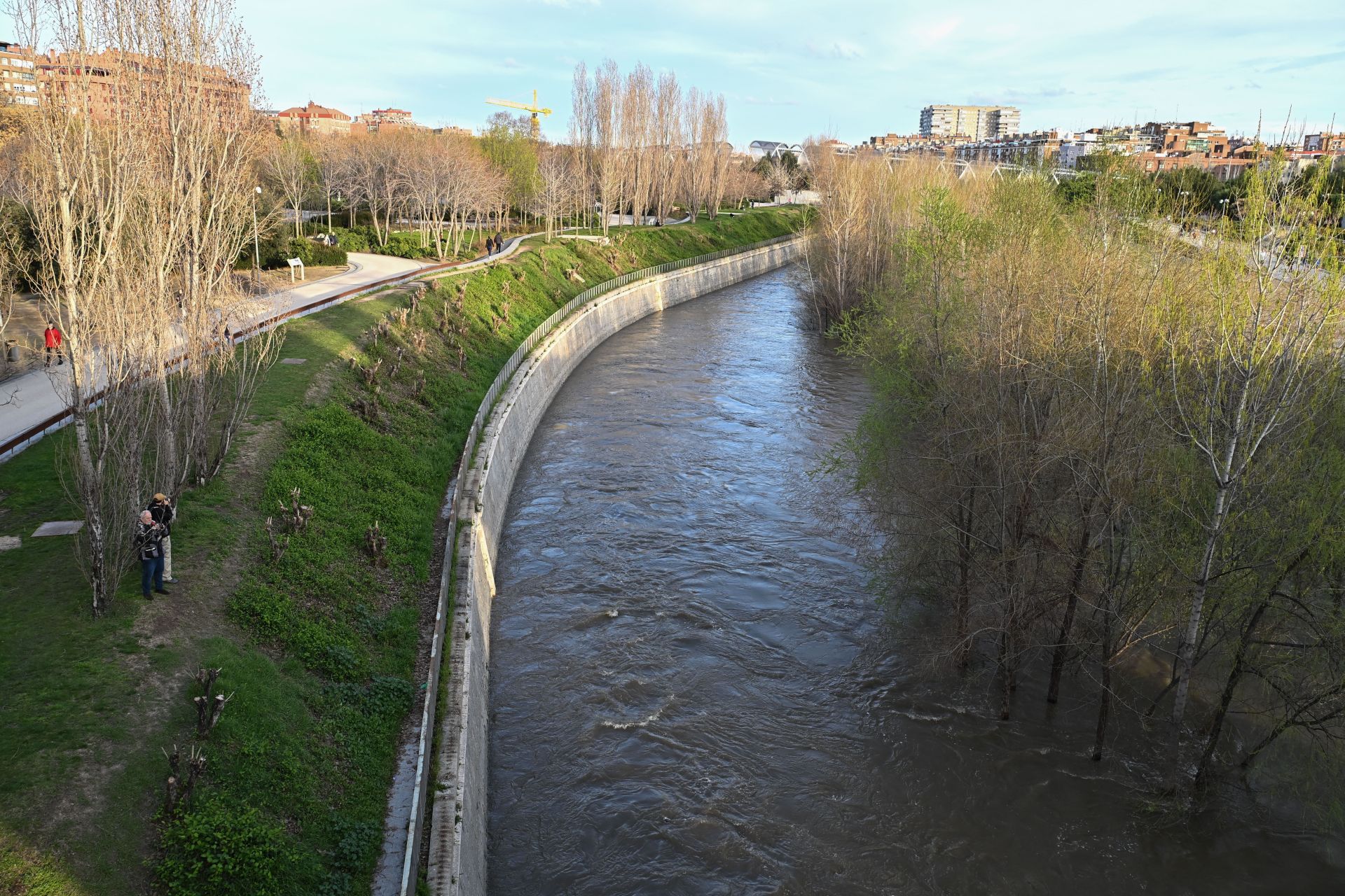 El río Manzanares a 19 de marzo de 2025