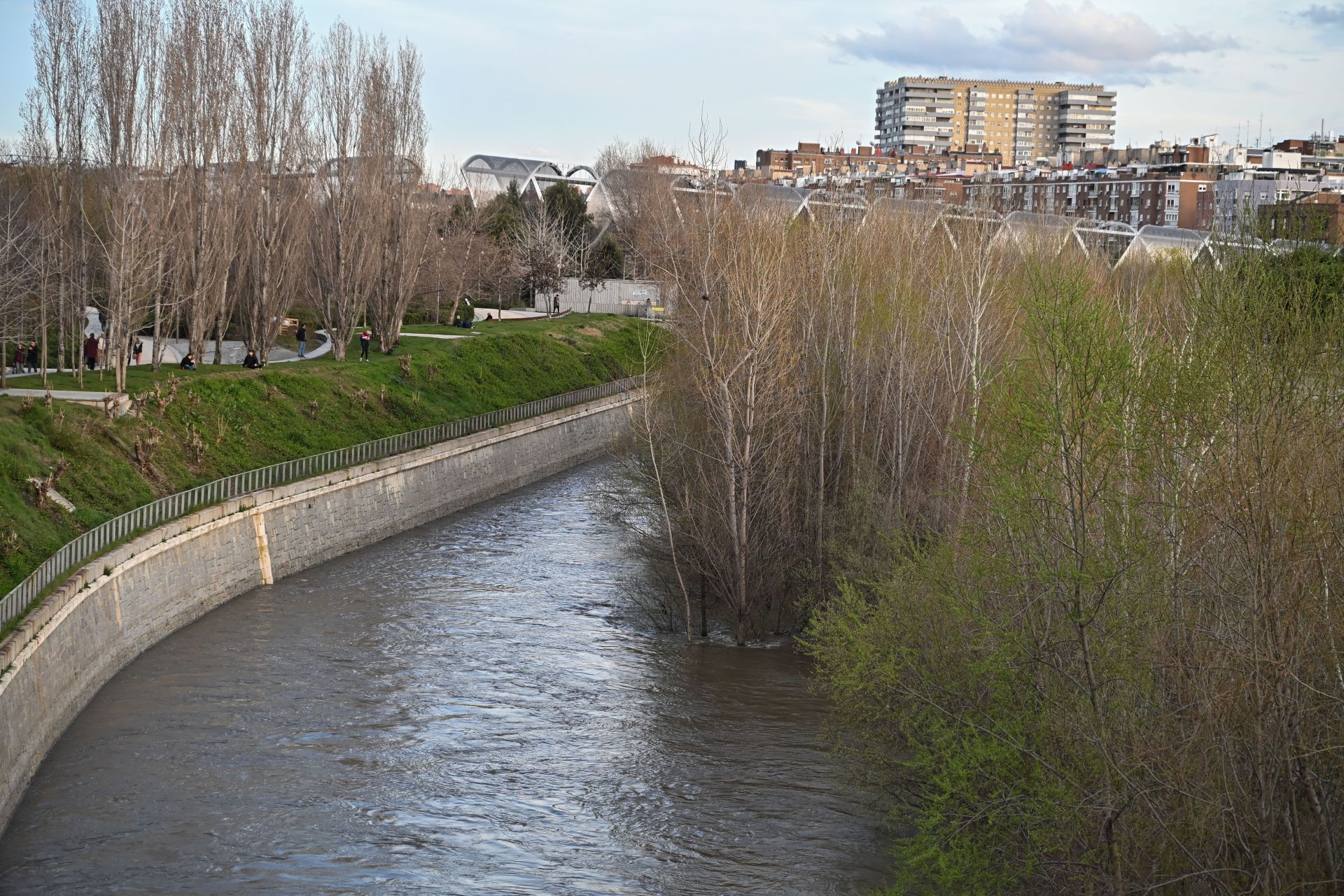 El río Manzanares a 19 de marzo de 2025