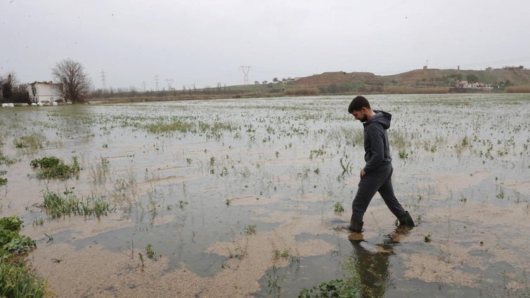 La crecida de los ríos arruina a los agricultores: «Ha arrasado con todo»