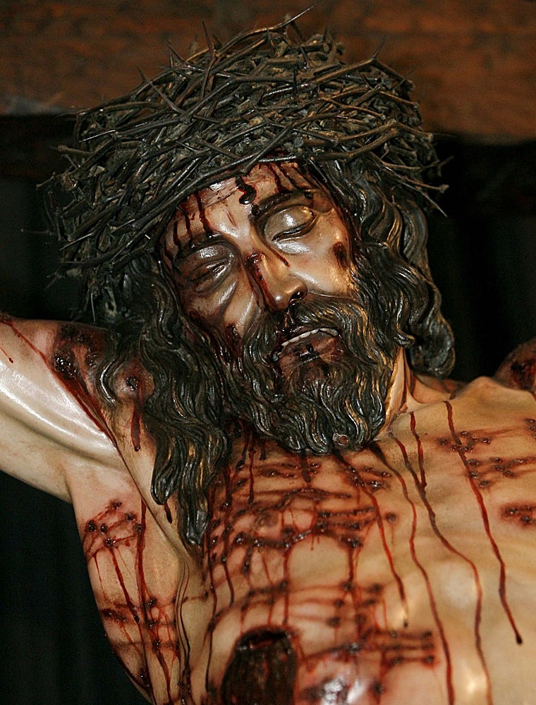 Primer plano de la cabeza y el costado