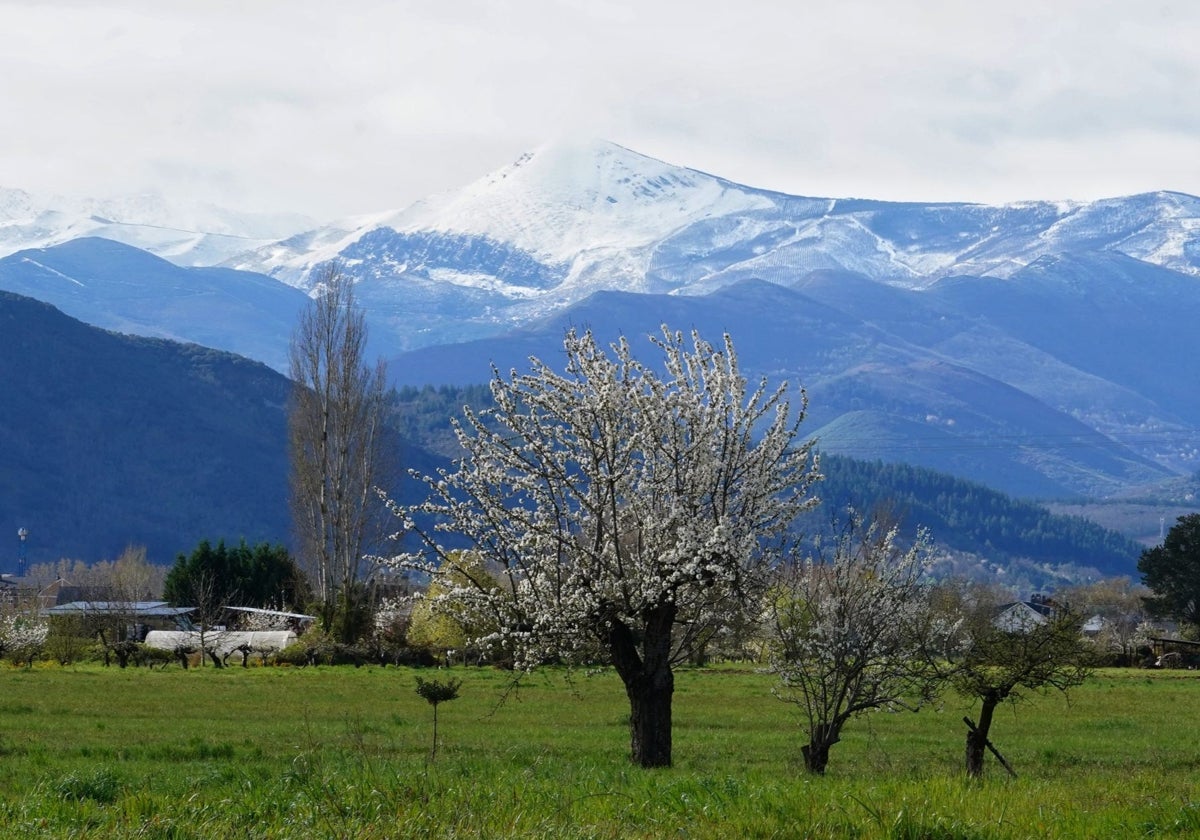 Llega la primavera: ¿qué tiempo nos espera en Castilla y León?