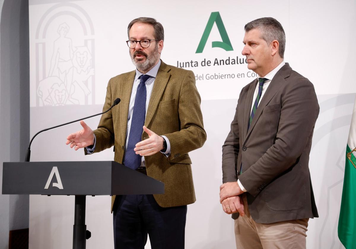 El delegado del Gobierno andaluz en Córdoba, Adolfo Molina