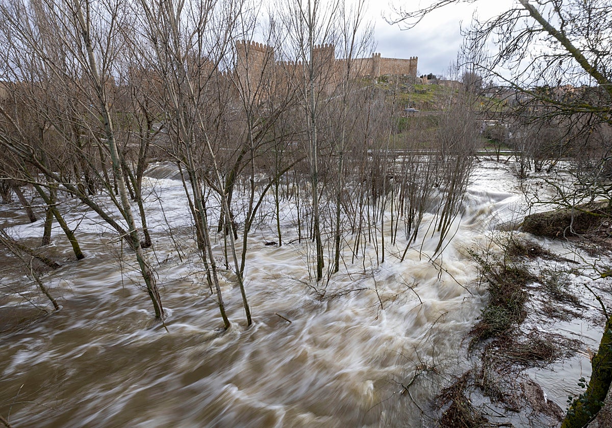 El Adaja a su paso por la capital abulense