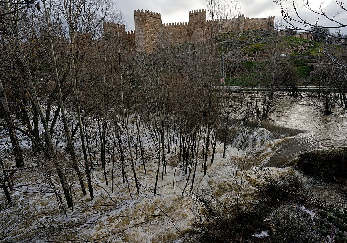 Río Adaja a su paso por Ávila este sábado a primera hora, aún caudaloso y crecido
