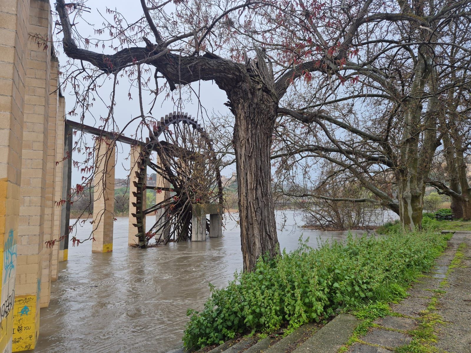 La noria del Tajo sumergida en las aguas