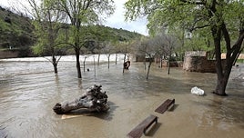 La Policía Local pide a los vecinos que retiren sus coches de Barco Pasaje ante la crecida del río Tajo