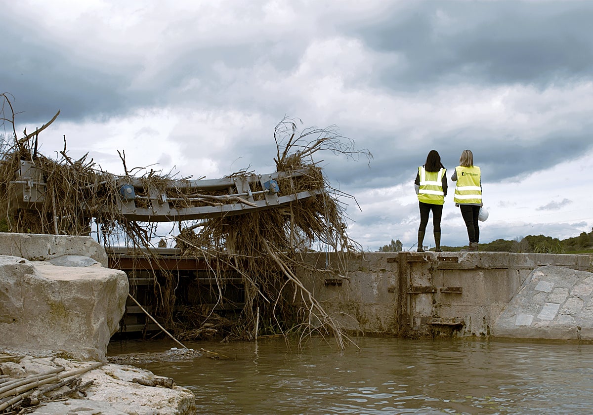 Carlos Mundina entrega los premios de la primera edición del concurso de fotografía «Las Mujeres y el Agua»