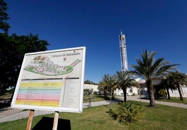 Casi un centenar de nuevas plazas en la oferta de la UCO para el curso 2025/2026
