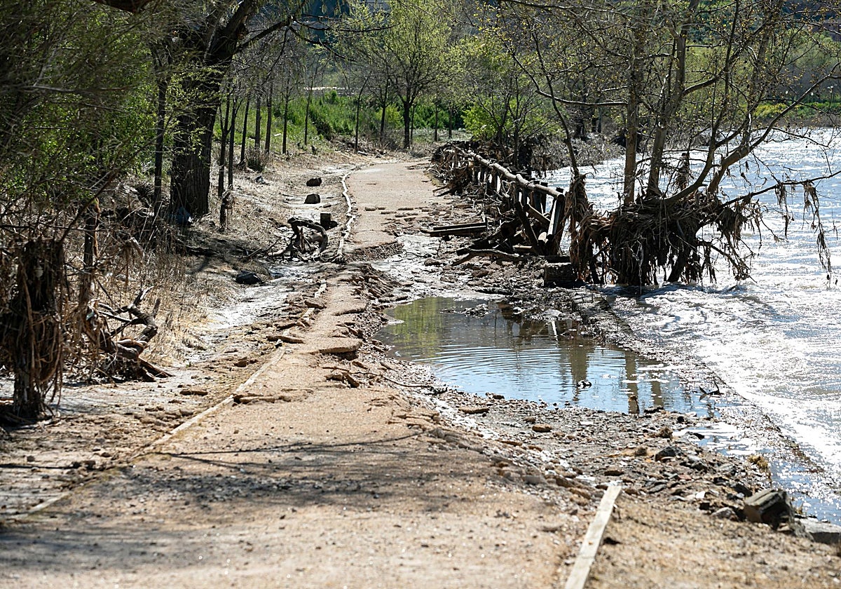 Estado en el que ha quedado la senda ecológica