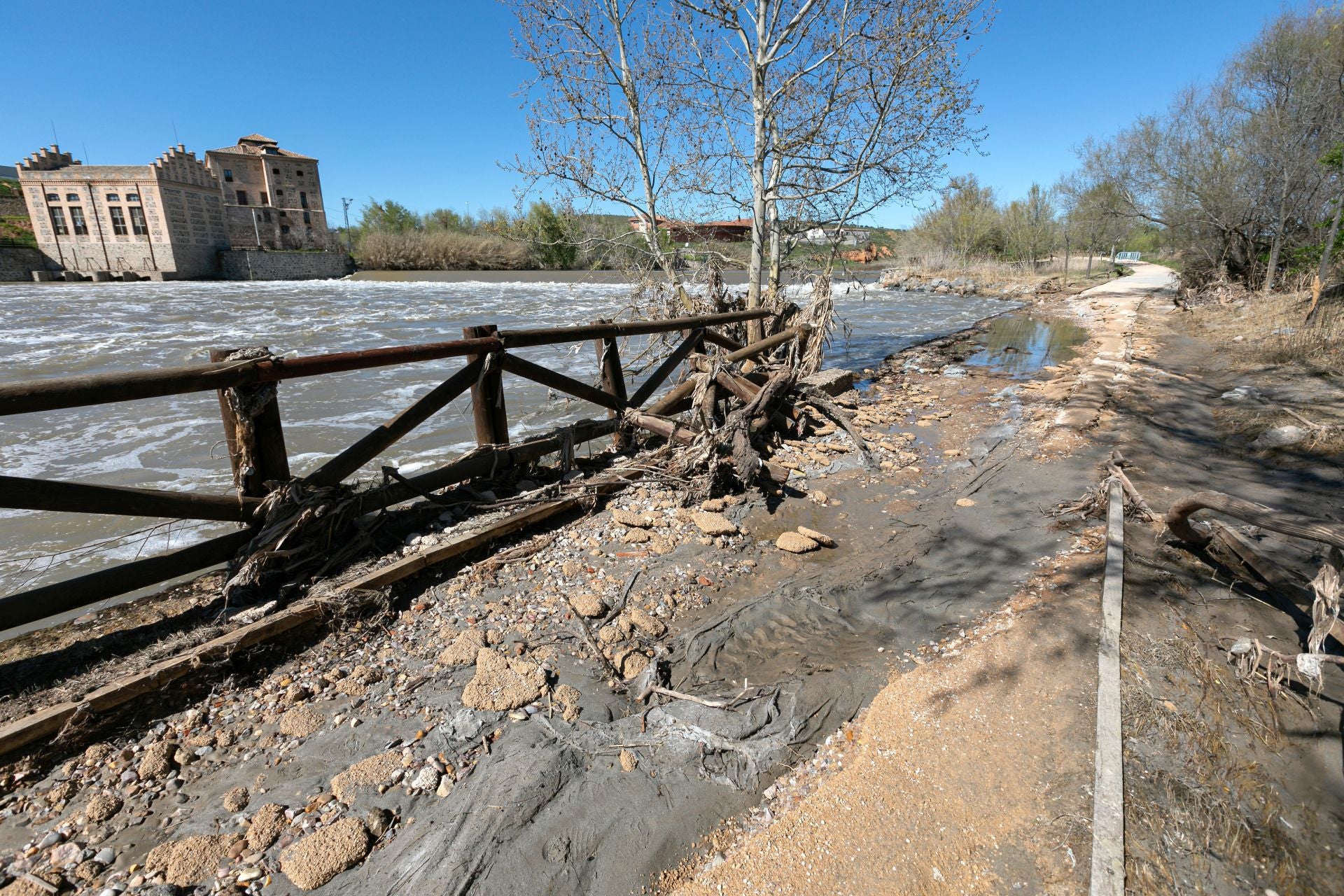 Las imágenes de la destrucción de la senda ecológica de Toledo
