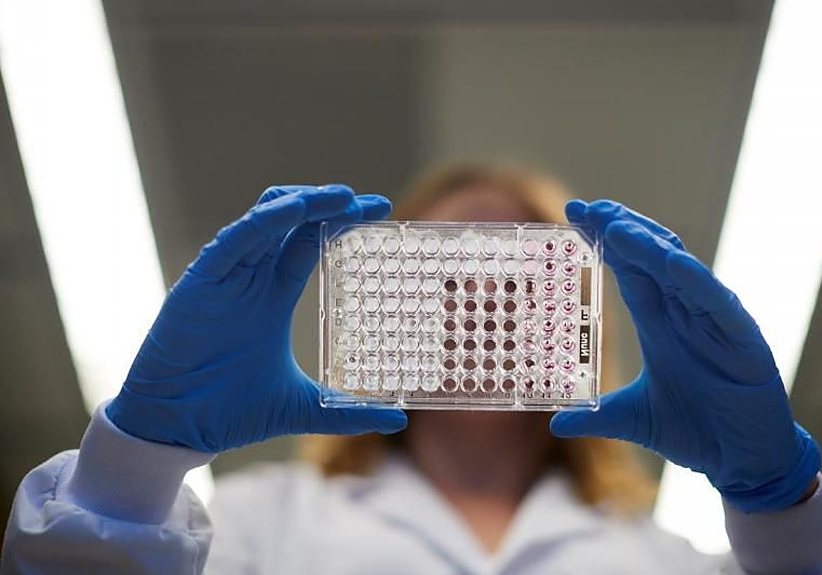 Imagen de archivo de una investigación oncológica