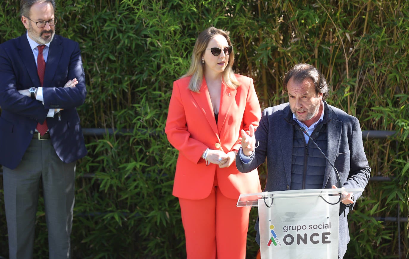 La semana de actividades de la ONCE sobre su gran labor social en Córdoba, en imágenes