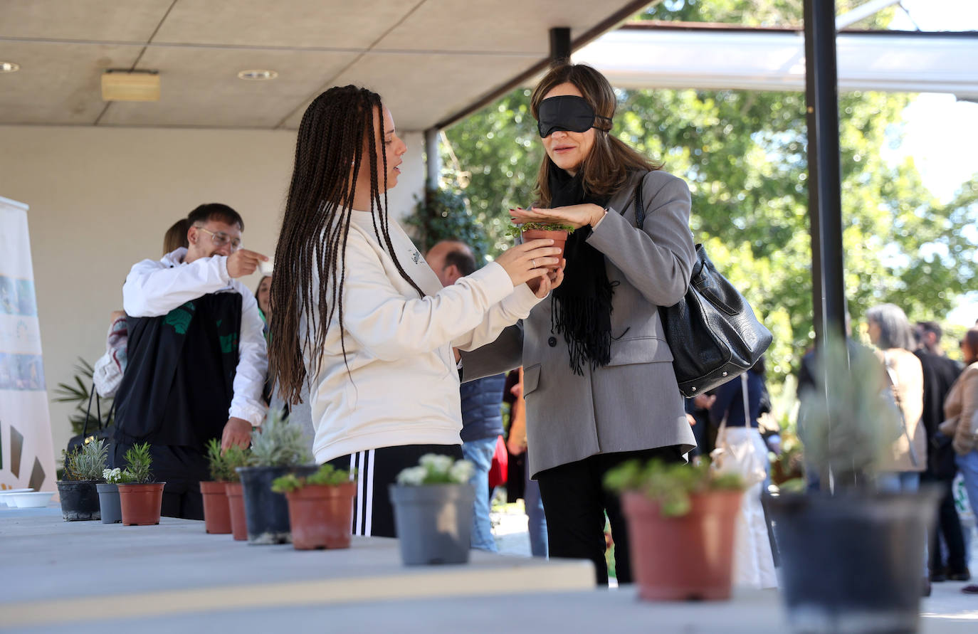 La semana de actividades de la ONCE sobre su gran labor social en Córdoba, en imágenes