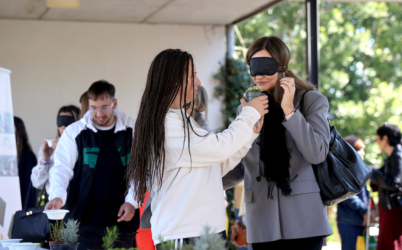 La semana de actividades de la ONCE sobre su gran labor social en Córdoba, en imágenes