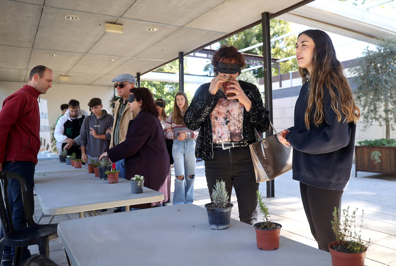 La semana de actividades de la ONCE sobre su gran labor social en Córdoba, en imágenes