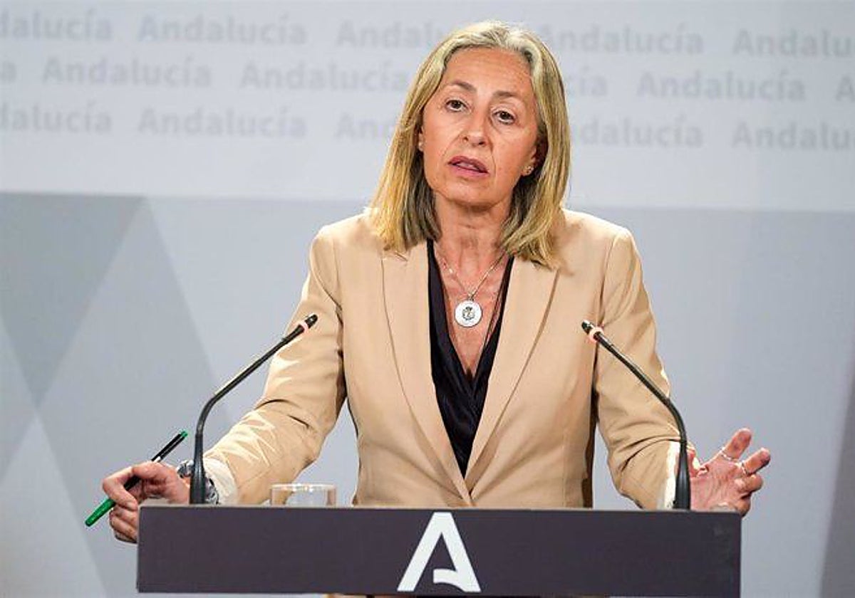 Rocío Hernández (Consejera de salud y consumo) en la rueda de prensa del Consejo de Gobierno.