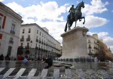 De una exposición cofrade al Rastro: cómo disfrutar antes de Semana Santa