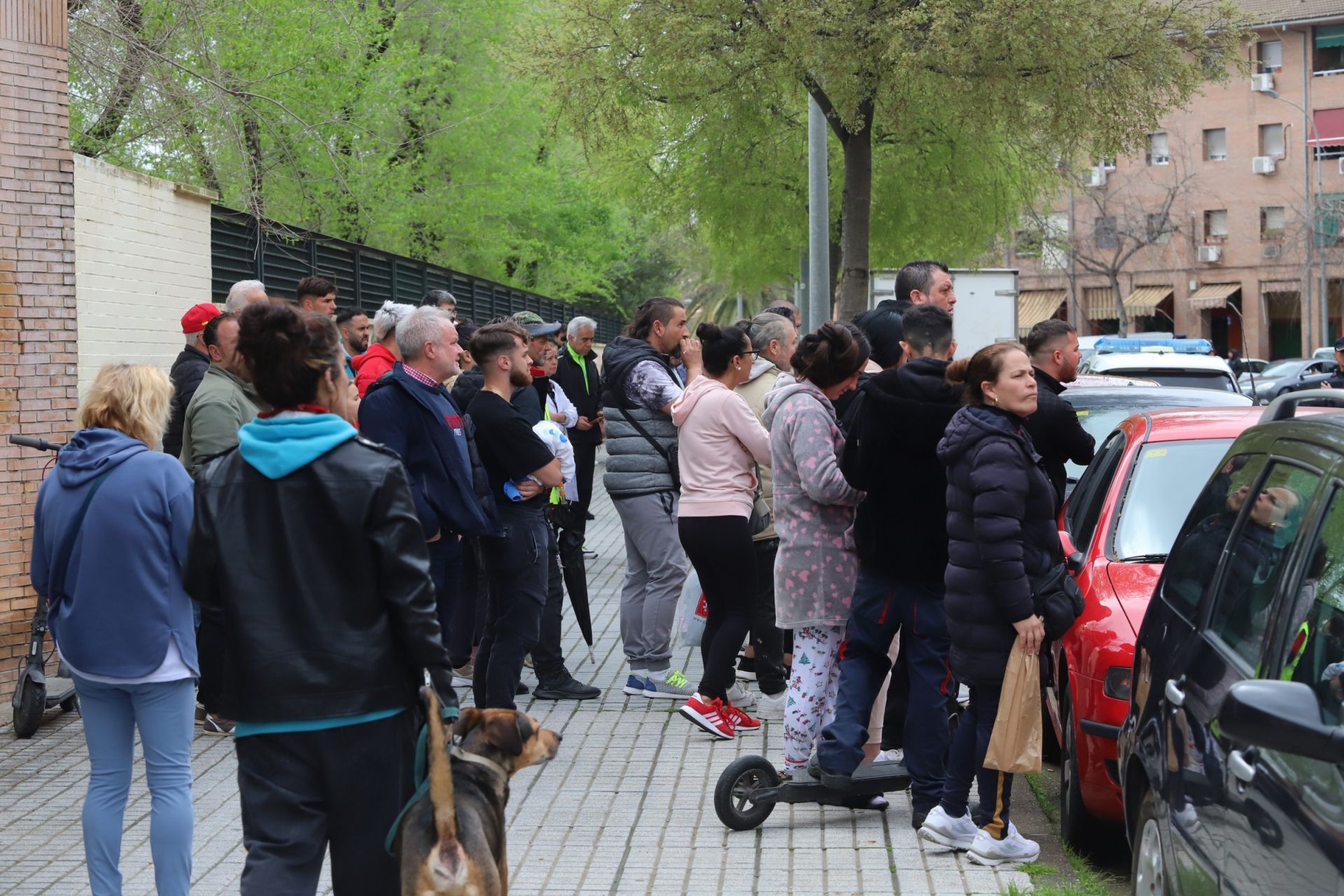 El despliegue policial por el apuñalamiento mortal en Las Moreras, en imágenes