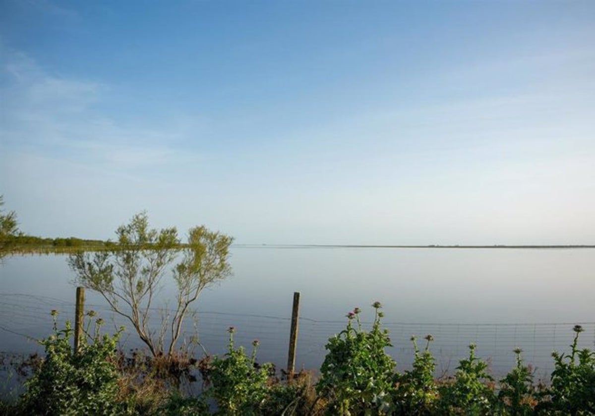 Imágenes de las Marisma de Doñana