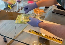 Detenidos por vender 25 toneladas de productos fitosanitarios irregulares como fertilizantes y aceites