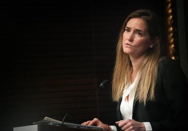 El Gobierno central acometerá la esperada mejora de la potencia eléctrica del Norte