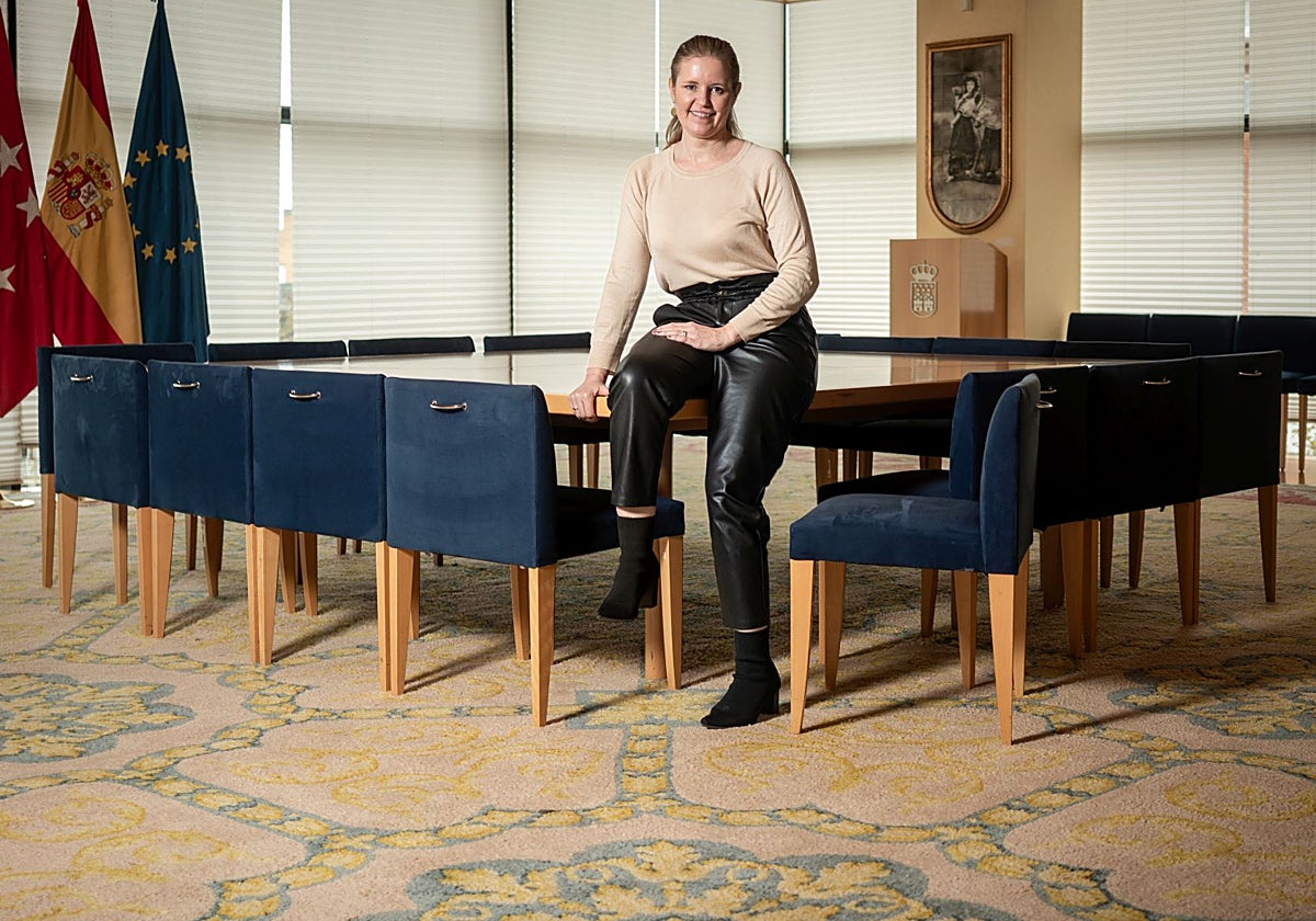 La consejera de Familia, Juventud y Asuntos Sociales de Madrid, Ana Dávila-Ponce de León