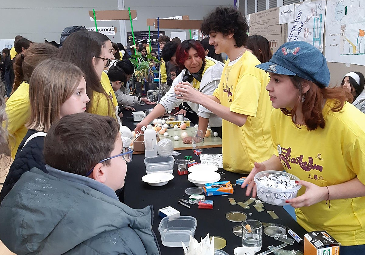 Uno de los stands de la feria