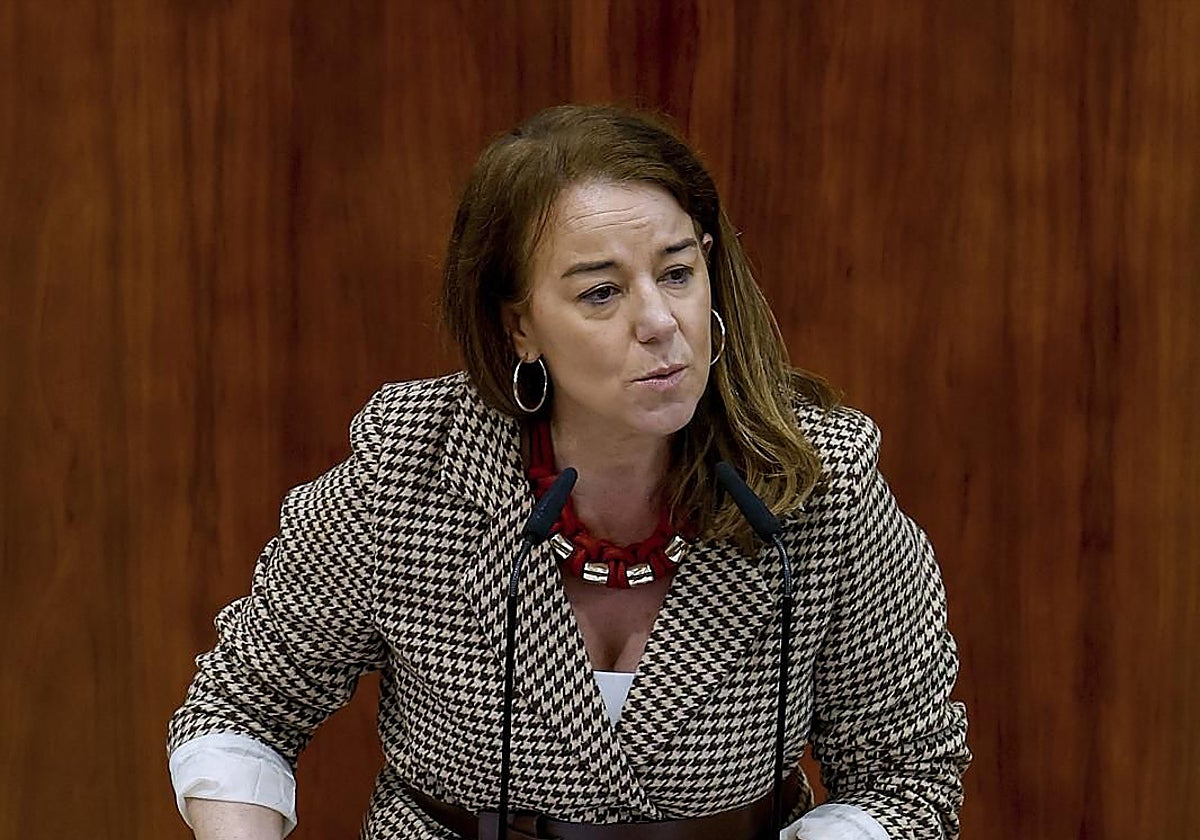 La diputada de Vox Ana Cuartero