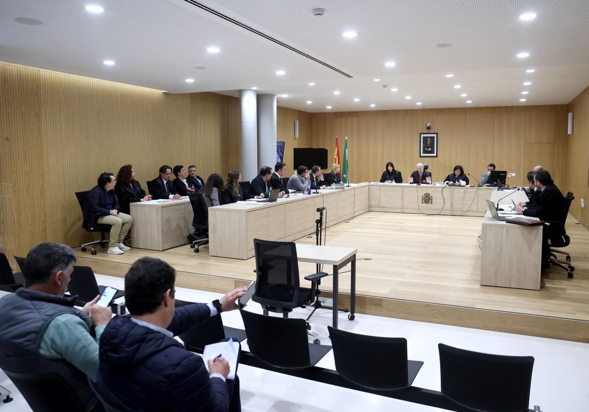 Juicio por el caso 'saqueo del Córdoba CF' en la Sección Segunda de la Audiencia de Córdoba