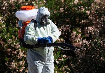 La Junta fija el mapa de riesgo del virus del Nilo: descubre el de cada municipio de Córdoba