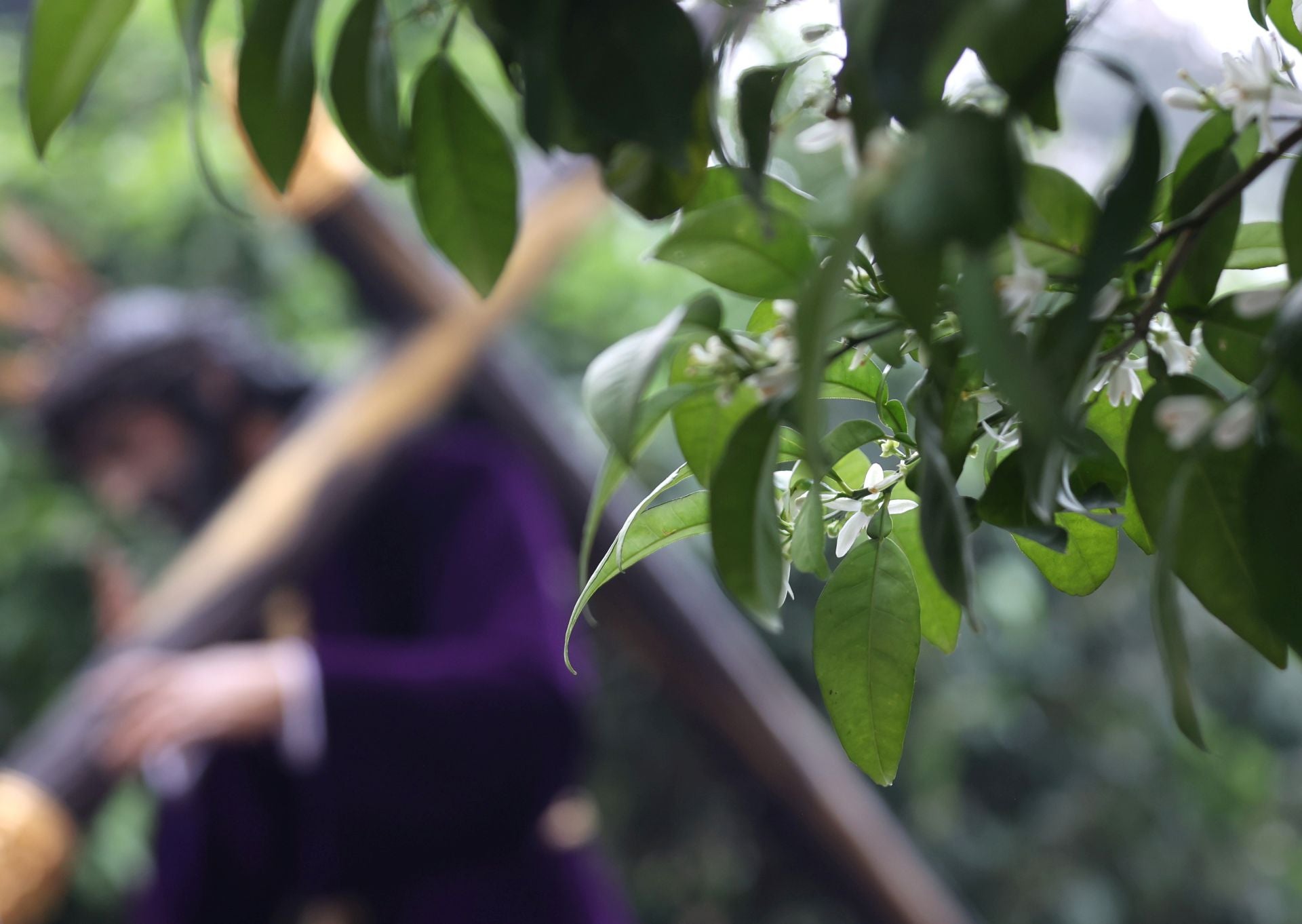 El solemne vía crucis del Soberano Poder por las calles de Córdoba, en imágenes