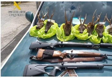 Multan a dos cazadores valencianos en Ordesa con siete cabezas de corzo, algunos abatidos de forma furtiva