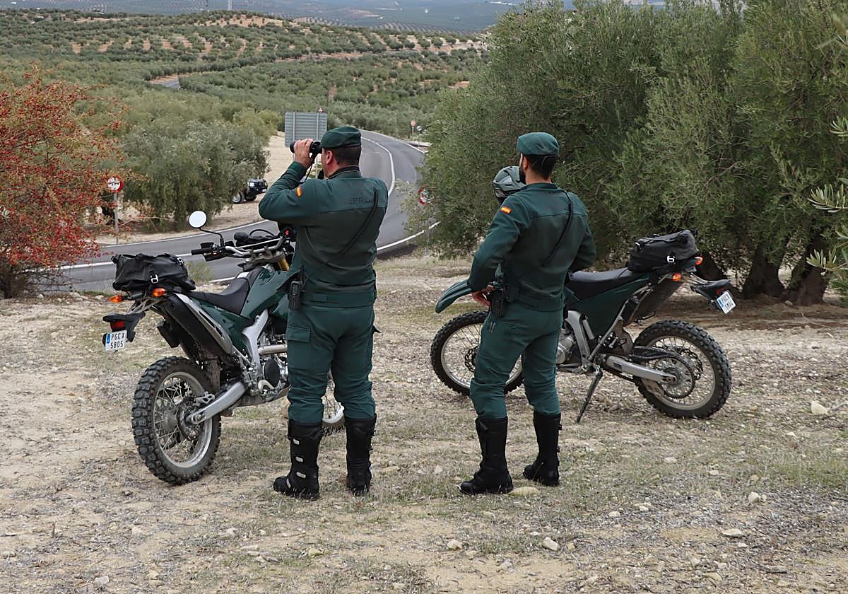 Agentes del Seprona, en tareas de vigilancia en Córdoba